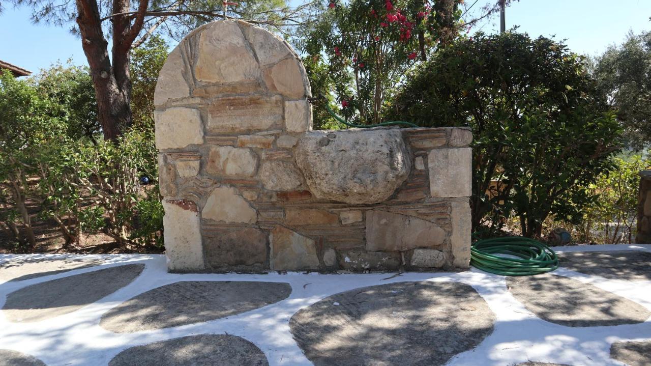 Patronis Apartment Amoudi