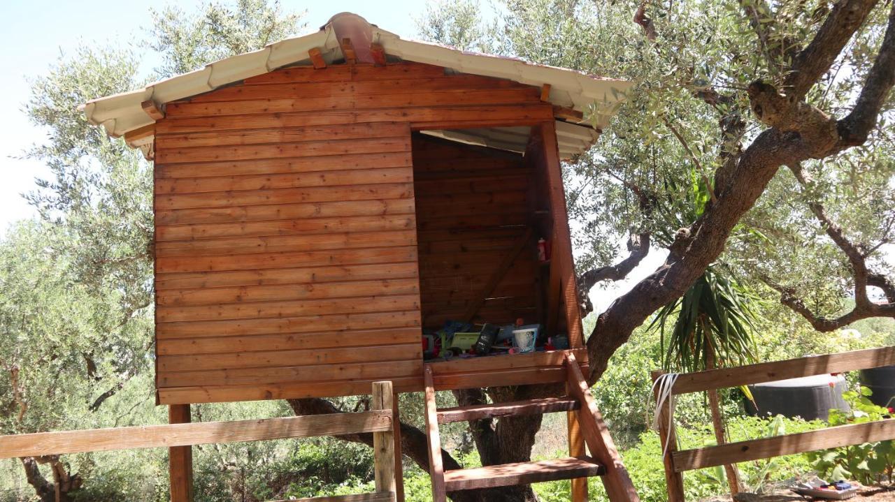 Patronis Appartement